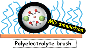 Graphical abstract: All-atom molecular dynamics simulations of polymer and polyelectrolyte brushes