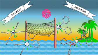 Graphical abstract: Lewis base adducts of NpCl4