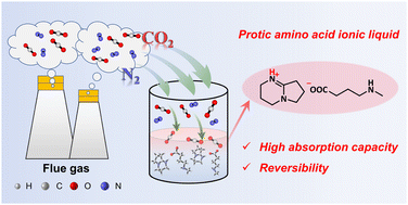 Graphical abstract: Unveiling protic amino acid ionic liquids for the efficient capture of carbon dioxide