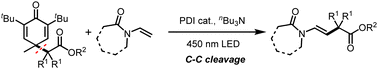 Graphical abstract: Catalytic tert-alkylation of enamides via C–C bond cleavage under photoredox conditions