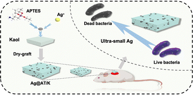 Graphical abstract: Kaolinite-mediated synthesis of ultra-small silver nanoparticles with high antimicrobial activity
