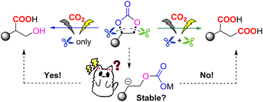 Graphical abstract: Electrochemical ring-opening carboxylation of cyclic carbonate with carbon dioxide