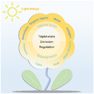 Graphical abstract: Recent strategies for triplet-state emission regulation toward non-lead organic–inorganic metal halides