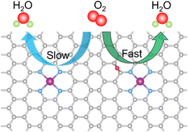 Graphical abstract: Enhancing the catalytic activity of the MnNC catalyst by regulating the coordination environment