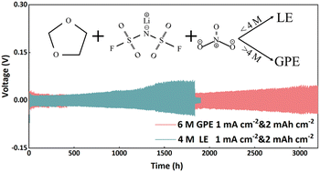 Graphical abstract: High concentration in situ polymer gel electrolyte for high performance lithium metal batteries