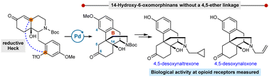 Graphical abstract: Enantioselective de novo synthesis of 14-hydroxy-6-oxomorphinans