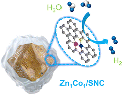 Graphical abstract: An asymmetrically coordinated Zn–Co diatomic site catalyst for efficient hydrogen evolution reactions
