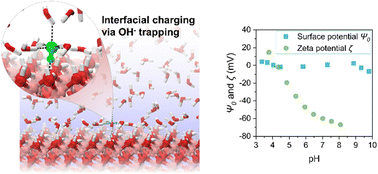Graphical abstract: Physical adsorption of OH− causes anomalous charging at oxide–water interfaces
