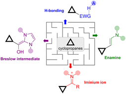 Graphical abstract: Organocatalysis as an enabling tool for enantioselective ring-opening reactions of cyclopropanes