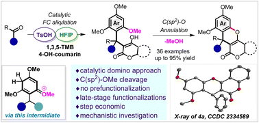 Graphical abstract: An organocatalytic domino annulation approach via C(sp2)–OMe cleavage to unlock the synthesis of pyranochromenones enabled by HFIP