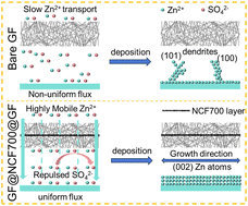 Graphical abstract: A nitrogen-doped carbon fiber coating embedded in the separator for stable zinc batteries