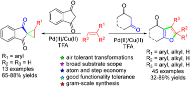 Graphical abstract: Direct access to furan and cyclopropane derivatives via palladium-catalyzed C–H activation/alkene insertion/annulation