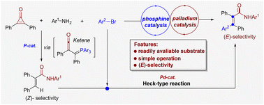 Graphical abstract: Expedient access to polysubstituted acrylamides via strain-release-driven dual phosphine and palladium catalysis