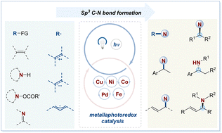 Graphical abstract: Recent advances in C(sp3)–N bond formation via metallaphoto-redox catalysis