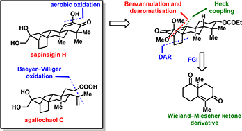 Graphical abstract: Enantioselective total synthesis of atisane diterpenoids: (+)-sapinsigin H, (+)-agallochaol C, and (+)-16α, 17-dihydroxy-atisan-3-one