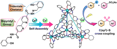 Graphical abstract: Isolation of a copper photocatalyst on a metal–organic cage for the sulfonylation of aryl halides resulting from visible-light-mediated C(sp2)–S cross-coupling