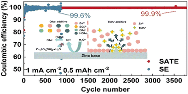 Graphical abstract: Dual-additive-based electrolyte design for aqueous zinc ion batteries with high plating/stripping efficiency