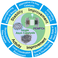 Graphical abstract: PGM-free single atom catalysts for the oxygen reduction reaction in proton exchange membrane fuel cells