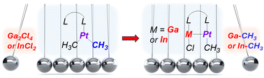Graphical abstract: Facile methyl group transfer from PtII to gallium and indium