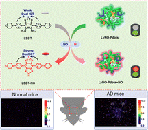 Graphical abstract: Ratiometric fluorescence imaging of lysosomal NO in living cells and mice brains with Alzheimer's disease