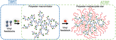 Graphical abstract: Employing transfer-dominated branching radical telomerisation (TBRT) and atom transfer radical polymerisation (ATRP) to form complex polyester-polymethacrylate branched-linear star copolymer hybrids via orthogonal initiation