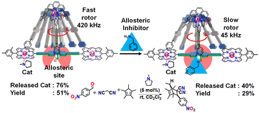 Graphical abstract: Dynamic negative allosteric effect: regulation of catalysis via multicomponent rotor speed