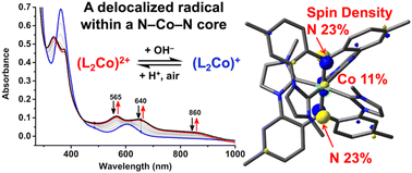 Graphical abstract: A stable radical within a N–Co–N core