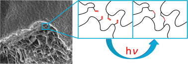 Graphical abstract: An anchor for help: a cross-linking moiety for block copolymer membrane stabilization for ultrafiltration applications in water