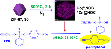 Graphical abstract: Cobalt and zinc nanoparticles from pyrolysis of their MOF precursors exhibiting potent organophosphorus hydrolase-mimicking activities