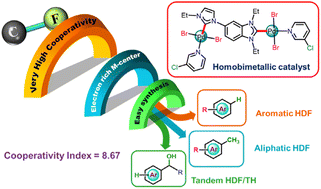 Graphical abstract: Cooperativity between metal centers in homobimetallic PdII–NHC complexes: catalytic potential towards hydrodefluorination