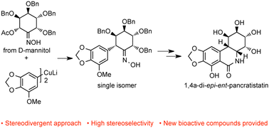 Graphical abstract: Total synthesis of 1,4a-di-epi-ent-pancratistatin, exemplifying a stereodivergent approach to pancratistatin isomers