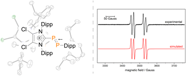 Graphical abstract: A neutral diphosphene radical: synthesis, electronic structure and white phosphorus activation