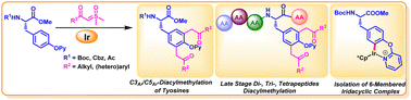 Graphical abstract: Iridium-catalyzed diacylmethylation of tyrosine and its peptides with sulfoxonium ylides