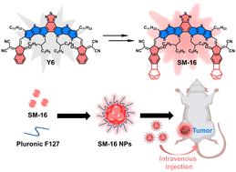 Graphical abstract: Design of a high-performance NIR-II nanoprobe by steric regulation for in vivo vasculature and tumor imaging