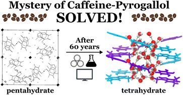 Graphical abstract: Structure of the caffeine–pyrogallol complex: revisiting a pioneering structural analysis of a model pharmaceutical cocrystal