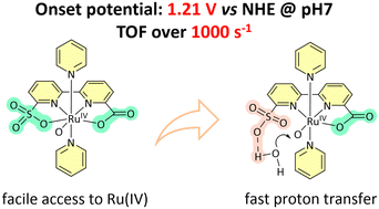 Graphical abstract: Adaptive water oxidation catalysis on a carboxylate-sulfonate ligand with low onset potential