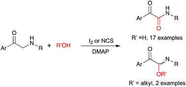 Graphical abstract: DMAP-promoted oxidative functionalization of α-amino ketones via oxygen delivery from water/alcohols