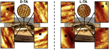 Graphical abstract: Atomic-scale origin of the enantiospecific decomposition of tartaric acid on chiral copper surfaces