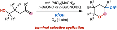 Graphical abstract: Alkyl nitrite-enabled palladium-catalyzed terminal selective oxidative cyclization of 4-penten-1-ols