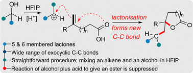 Graphical abstract: HFIP promoted carbo-lactonisation as a new route to functionalised lactones