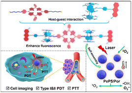 Graphical abstract: Perphenazine modified pillar[5]arene based nano-assemblies for synergistic photothermal and photodynamic cancer therapy