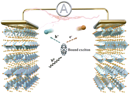 Graphical abstract: Enhanced exciton–phonon coupling in pseudohalide 2D perovskite for X-ray to visible light detection