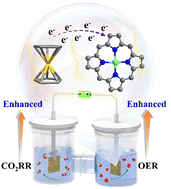 Graphical abstract: Ferrocene-modified covalent organic framework for efficient oxygen evolution reaction and CO2 electroreduction