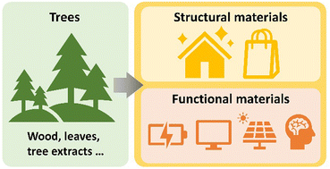 Graphical abstract: Emerging approaches of utilizing trees to produce advanced structural and functional materials