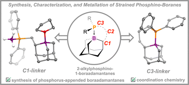 Graphical abstract: 2-Alkylphosphino-1-boraadamantanes