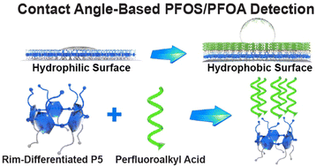 Graphical abstract: Rim-differentiated pillar[5]arene-modified surfaces for rapid PFOA/PFOS detection
