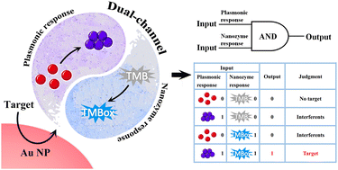 Graphical abstract: Plasmonic and nanozyme dual-channel-based logic judgment for enhancing gold nanoparticle based colorimetric Hg2+ ion sensing performance