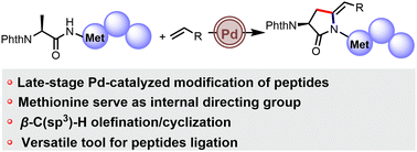 Graphical abstract: Methionine-enabled peptide modification through late-stage Pd-catalyzed β-C(sp3)–H olefination/cyclization