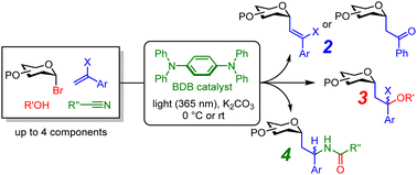 Graphical abstract: Organophotocatalytic access to C-glycosides: multicomponent coupling reactions using glycosyl bromides