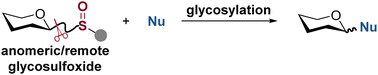 Graphical abstract: Glycosylation with sulfoxide-based glycosyl donors
